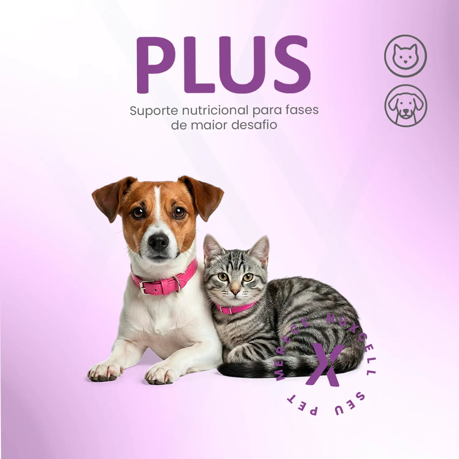 Suplemento Nuxcell Plus para Cães e Gatos